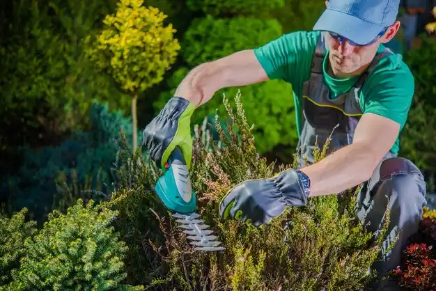 landscaping services Morse